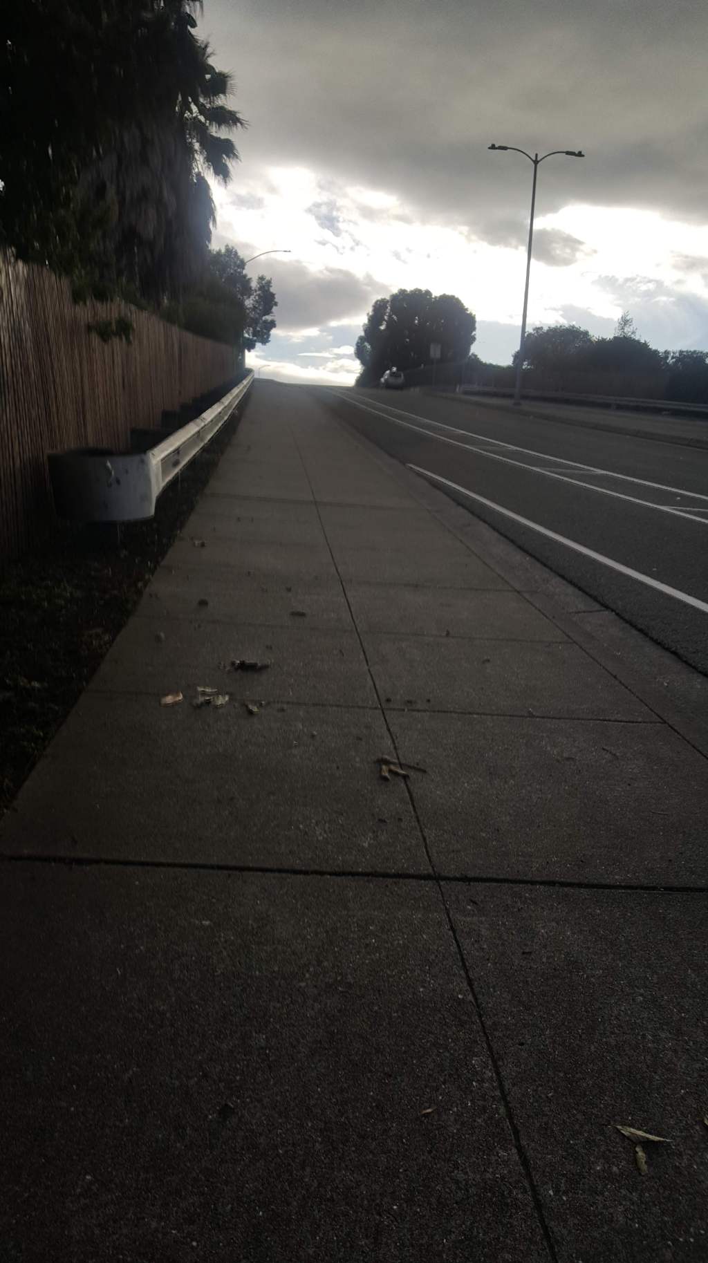 Autism Parent Truths pt.&nbsp;1